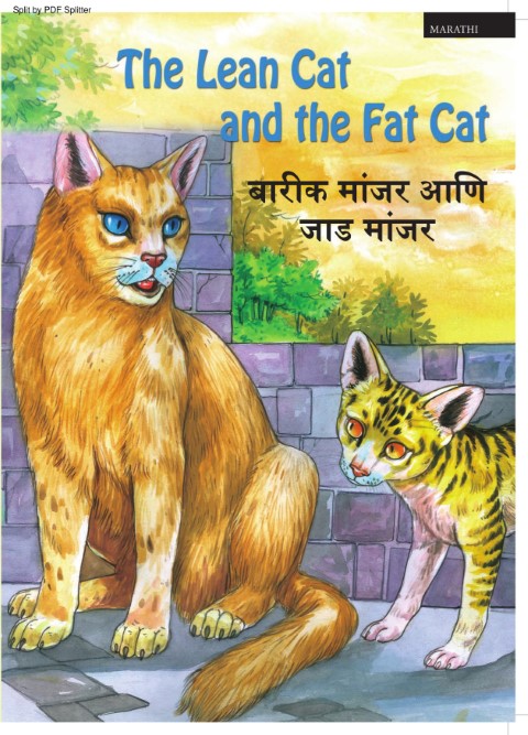 The Lean Cat and the Fat Cat